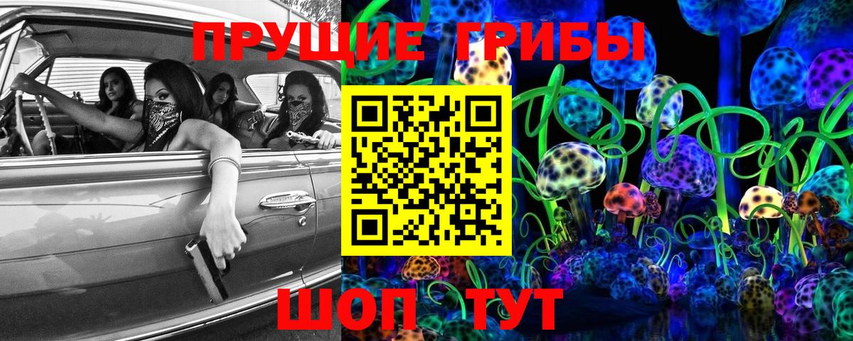 Ипатово  Галлюциногенные грибы Psilocybine cubensis  Галлюциногенные грибы Psilocybine cubensis  Вход с VPN 